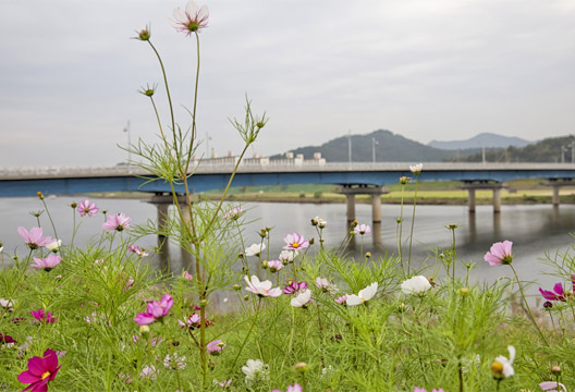 영산포 풍경