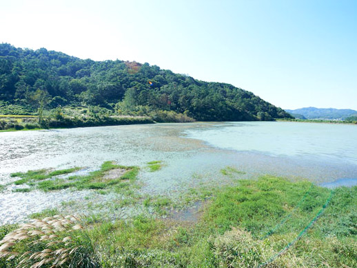 명하마을의 강가 풍경