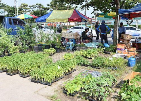 Yeongsanpo Folk Market