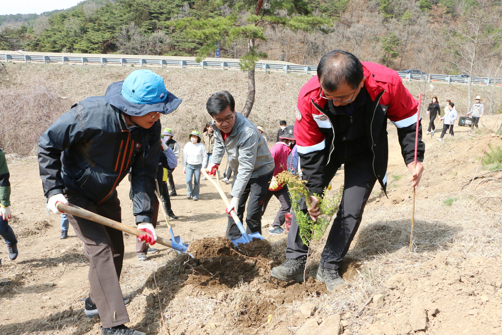 나주사랑 나무심기 행사 간부공무원과 나무심기를 하고 있는 나주시장의 모습