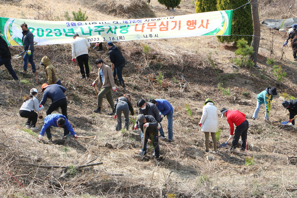 나주사랑 나무심기 행사 직원 여러명이 조를 이루어서 나무를 심고 있는 전면 모습