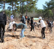 베메산 사계절 꽃동산 조성사업 착공 식재행사 시민들이 식재 구역에서 나무를 심고 있는 모습
