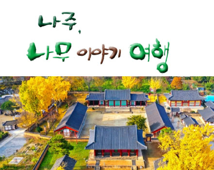 나무 이야기 여행