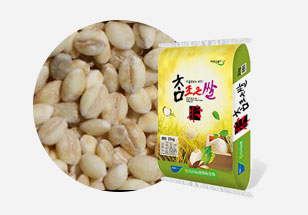 황금빛 노란 보리쌀과 쌀포대