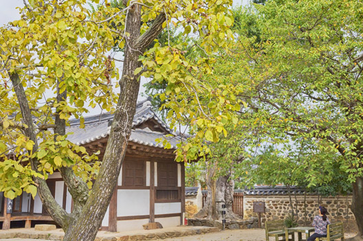 목사내아 금학헌의 가을 풍경