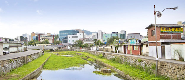 중앙교에서 바라본 풍경