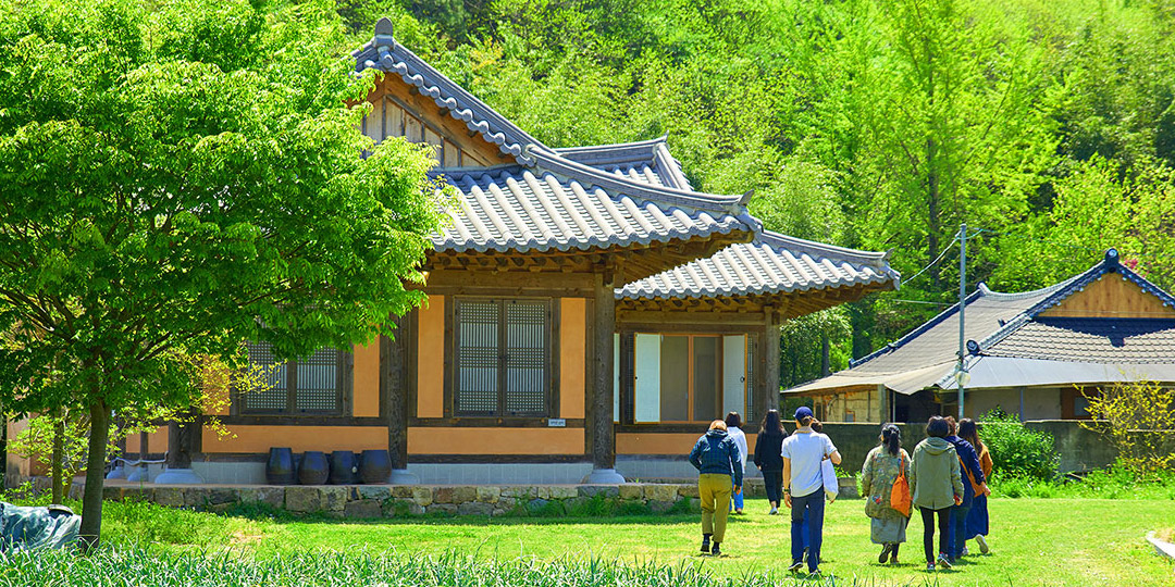 초록빛 나무가 우거진 명하쪽빛마을의 한옥집으로 들어가는 사람들