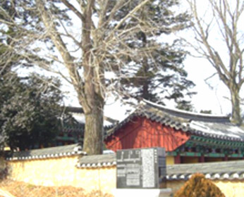 설재서원 전경