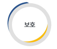 보호