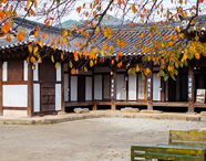 금학헌