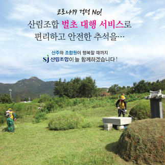 산림조합 벌초대행서비스로 편리하고 안전한 추석을..(사람들이 벌초하는 모습)