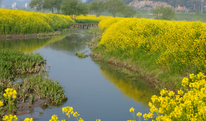 荣山江