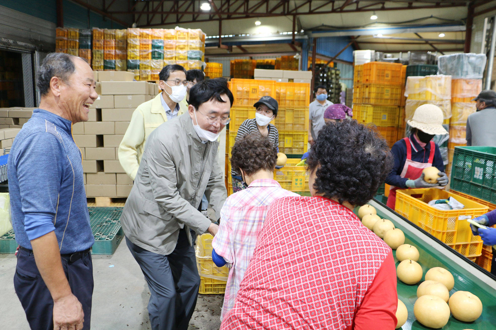 태풍 힌남노 대비 배농가 방문