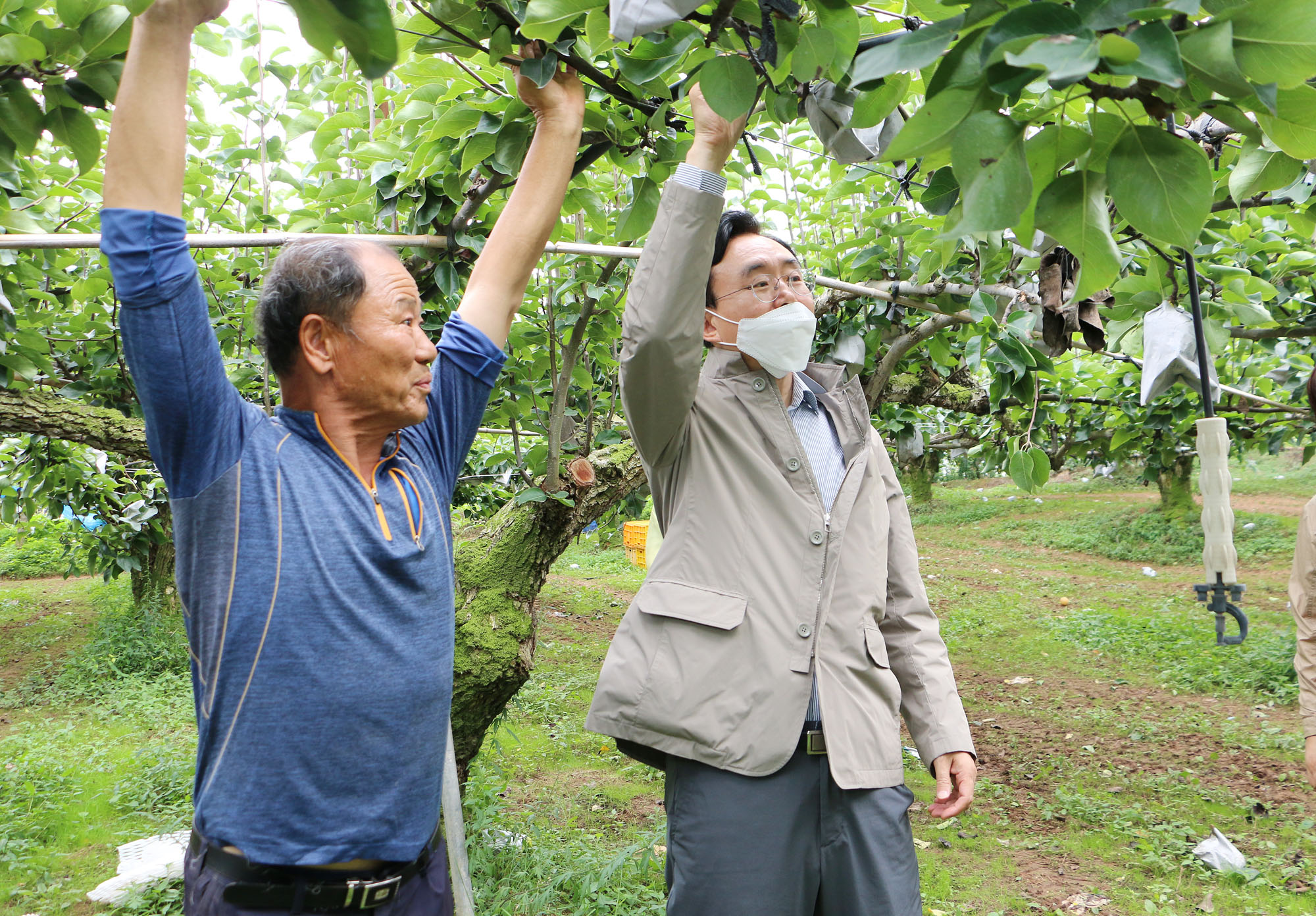 태풍 힌남노 대비 배농가 방문