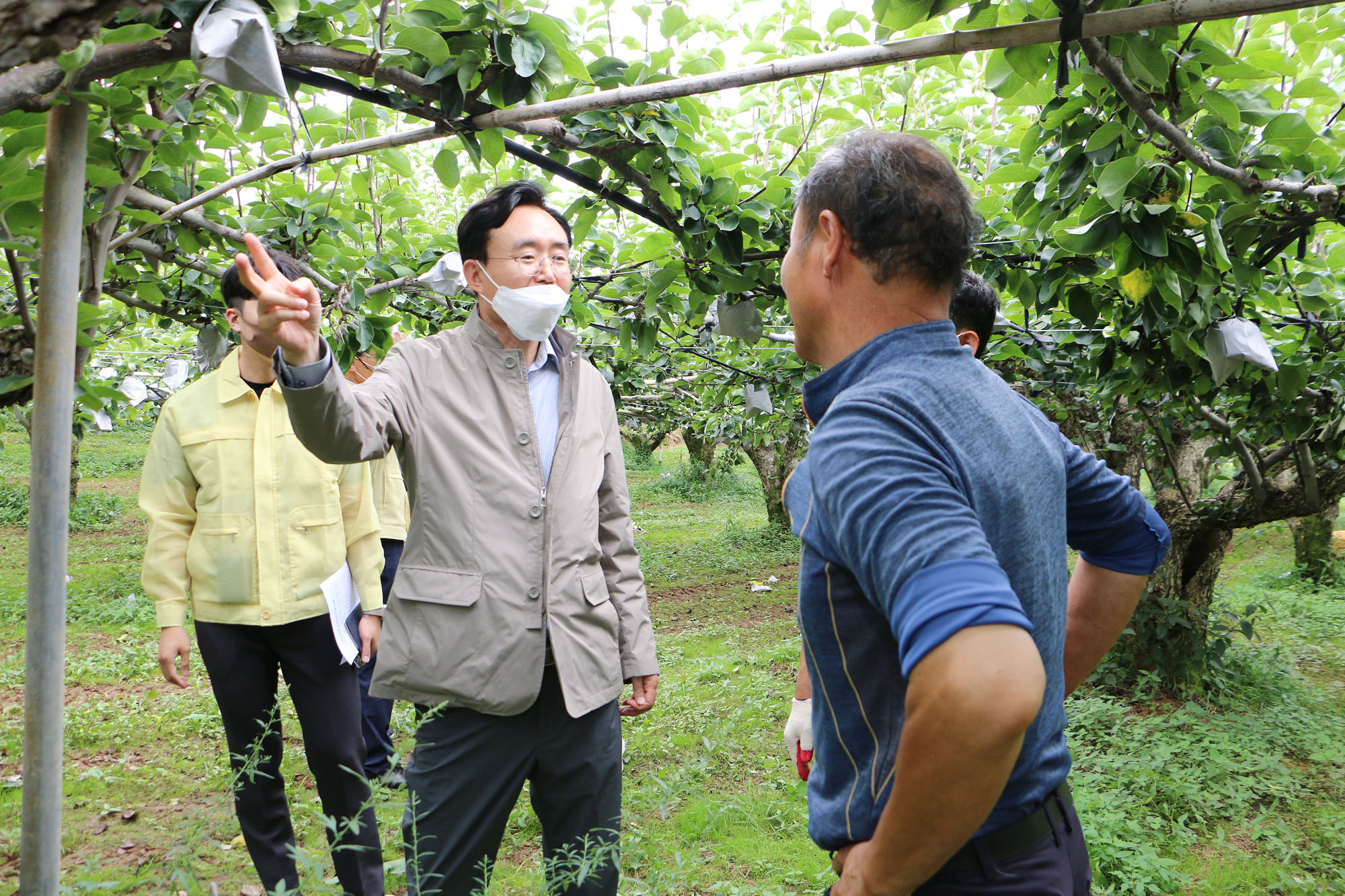 태풍 힌남노 대비 배농가 방문