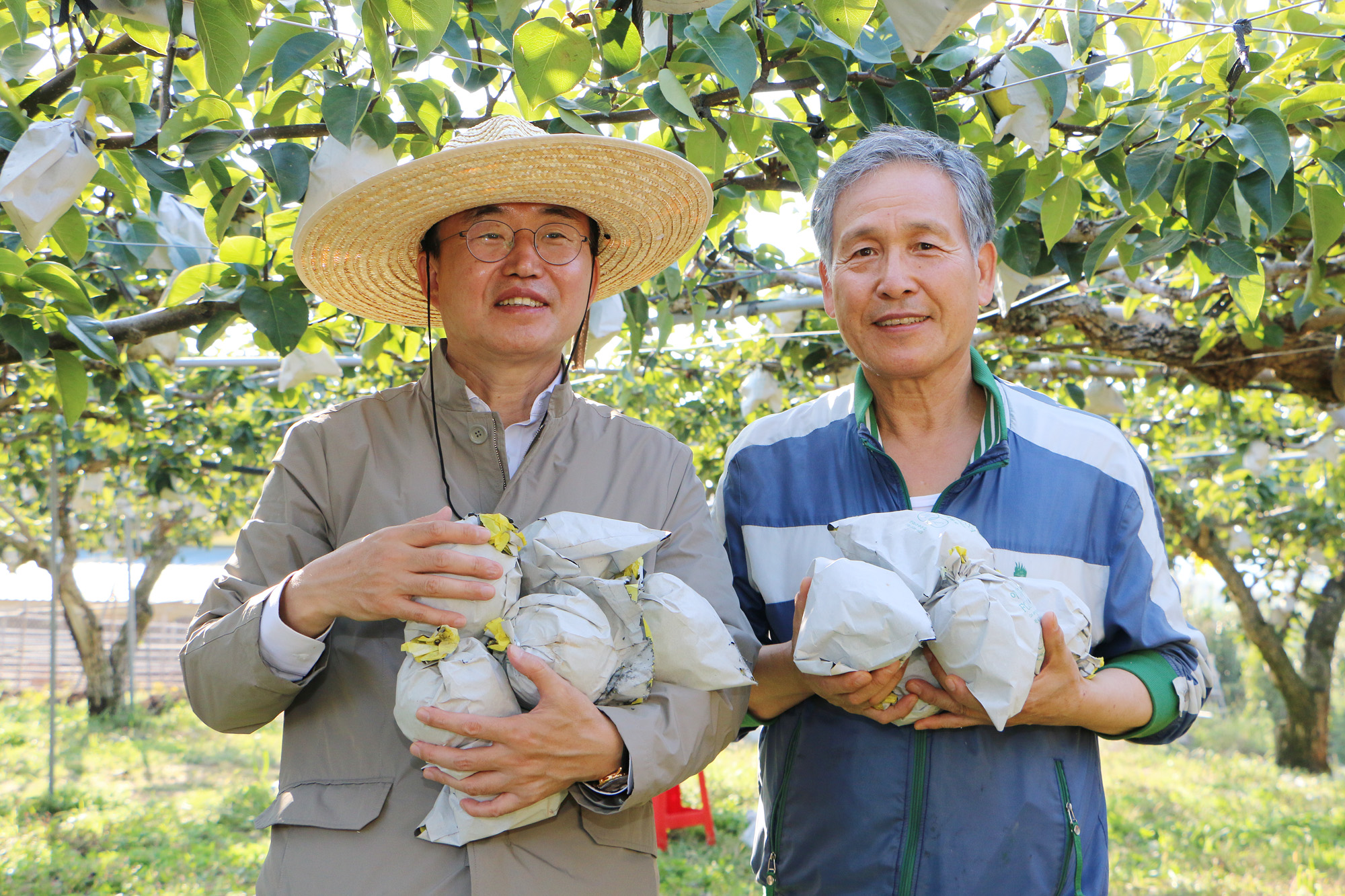 수확철맞이 배농가 현장 방문