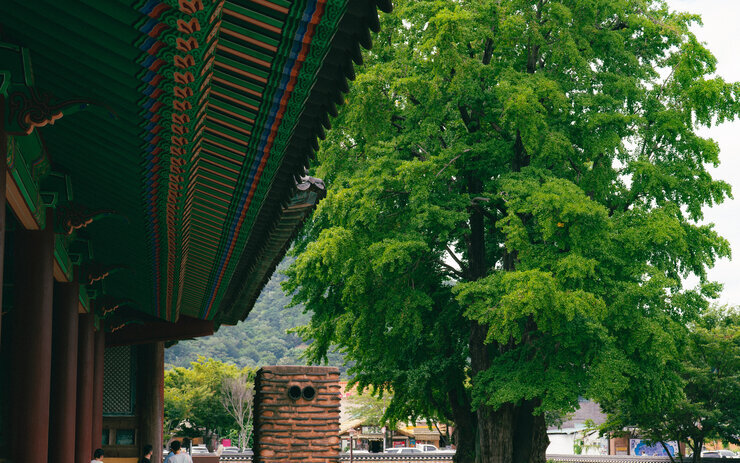 월간나주 9월호