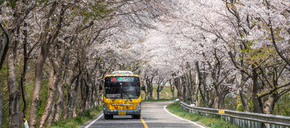 (입선) 봄이오는길_정백호