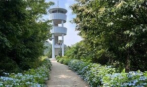 “오늘 나랑 나주로 수국 보러 가자, 준비됐수국?”