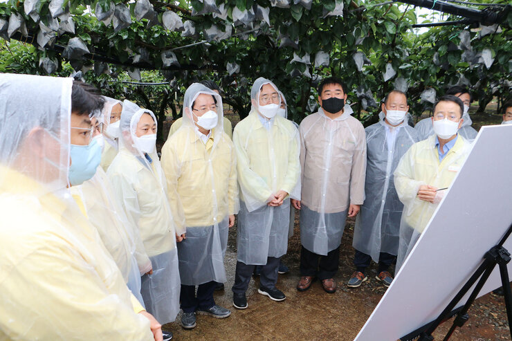 태풍 '힌남노' 북상 대비 전남도지사 배농가 방문