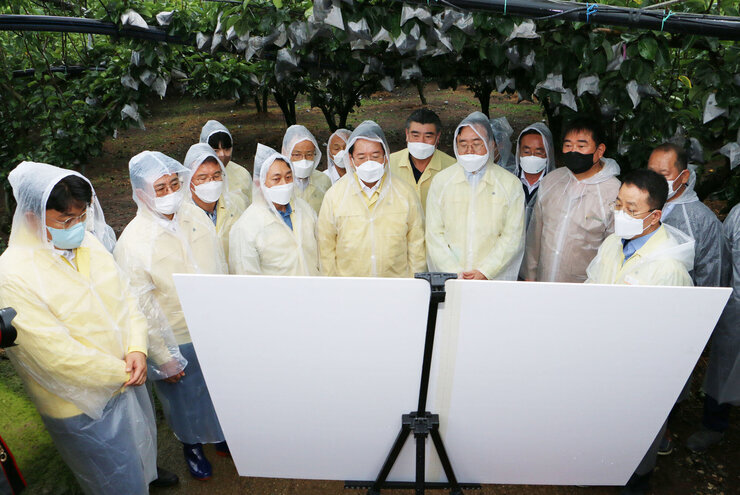 태풍 '힌남노' 북상 대비 전남도지사 배농가 방문