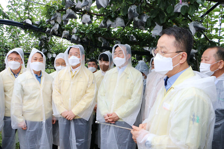 태풍 '힌남노' 북상 대비 전남도지사 배농가 방문