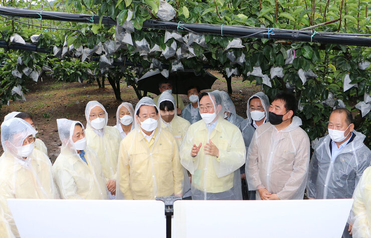 태풍 '힌남노' 북상 대비 전남도지사 배농가 방문