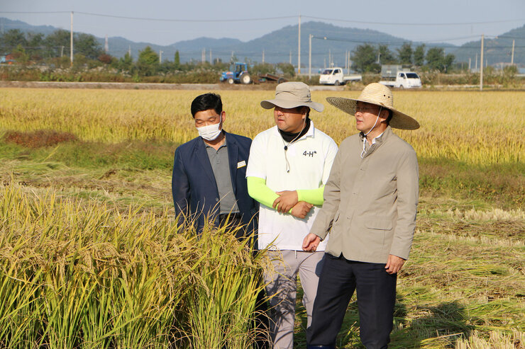 수확철맞이 벼농가 현장 방문