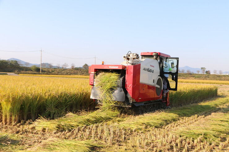 수확철맞이 벼농가 현장 방문