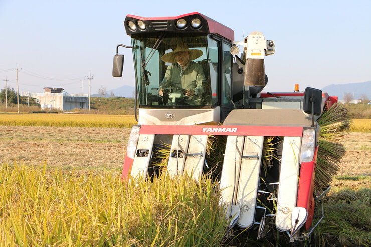 수확철맞이 벼농가 현장 방문