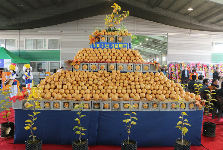 나주배원협 100주년 기념 한마음대회