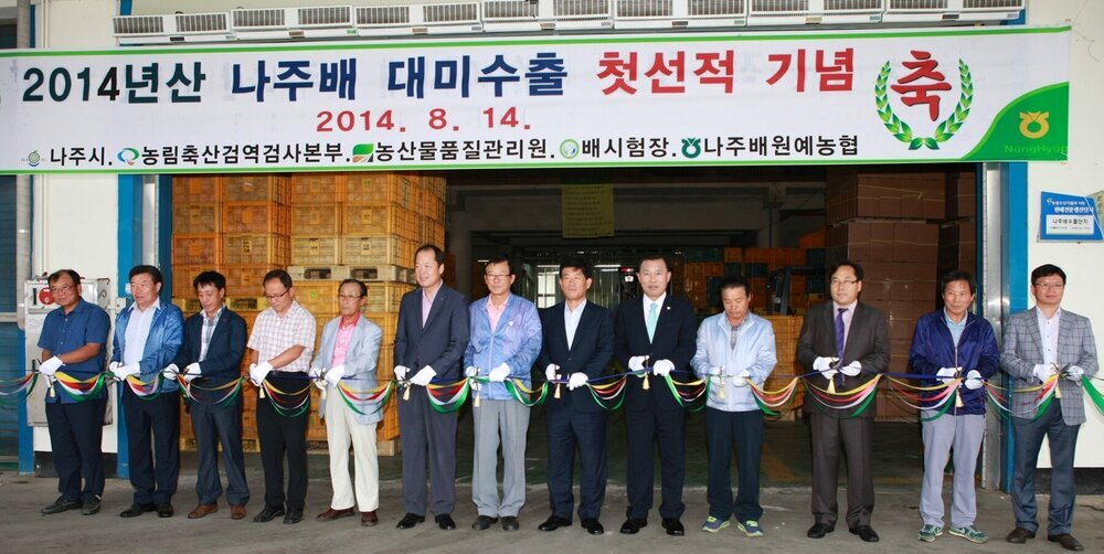 나주배 대미수출 선적.JPG