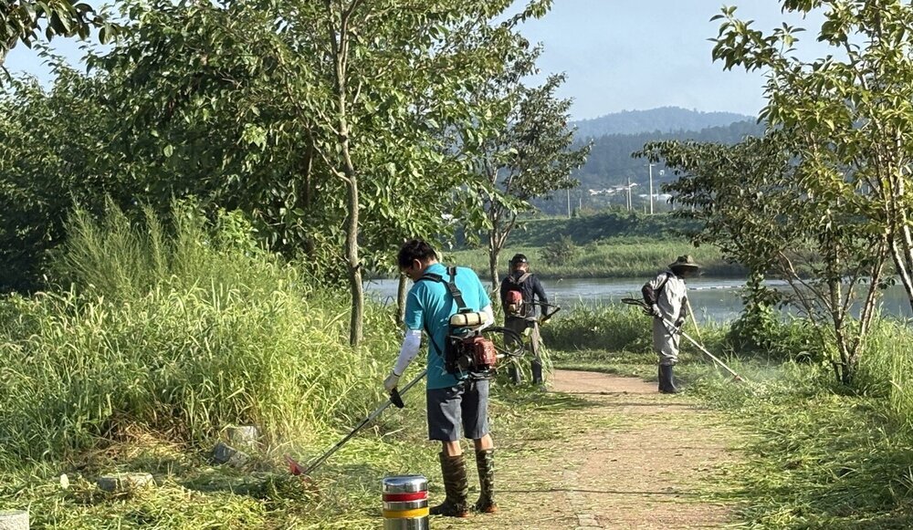 나주 남평읍 지석강관리협의체, 지석천 풀베기 봉사활동