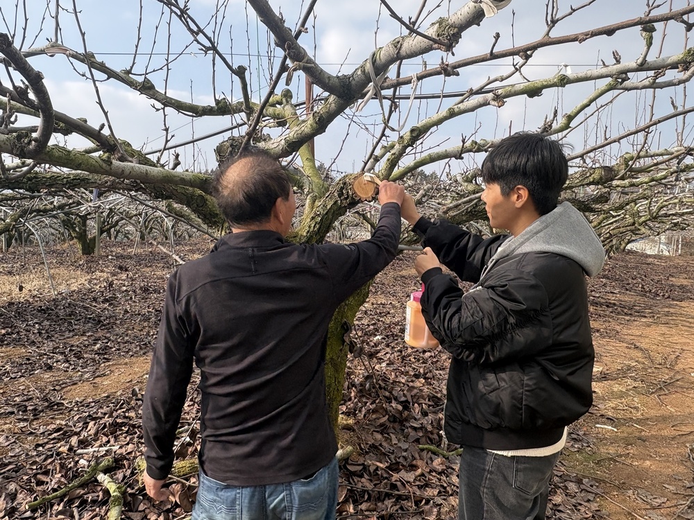 나주시, 과수화상병 ‘겨울철 선제 차단’ 총력