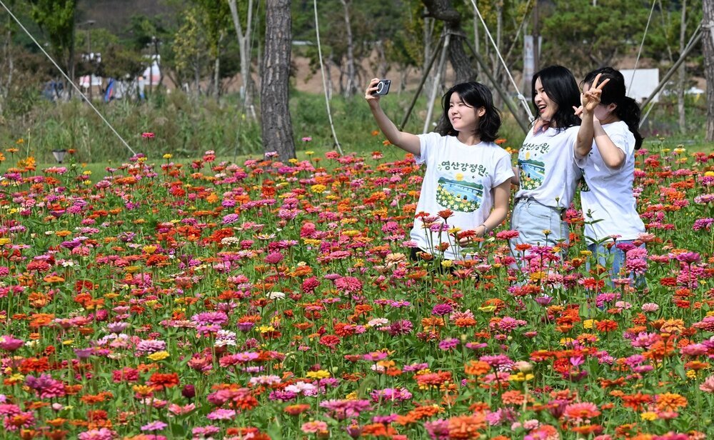 영산강정원 가을꽃 만개…생태·설화 담은 새 포토존 ‘눈길’