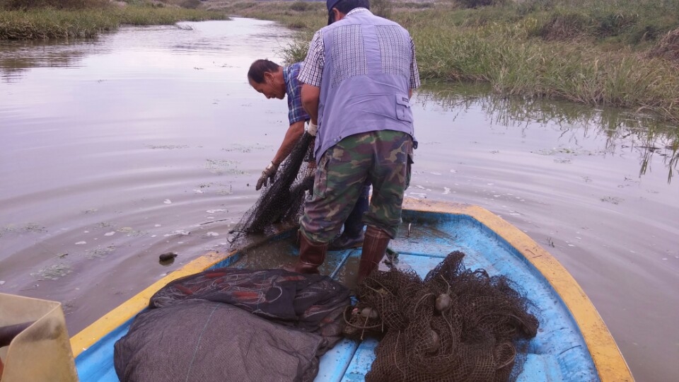 동강어업공동체 정화활동.JPG