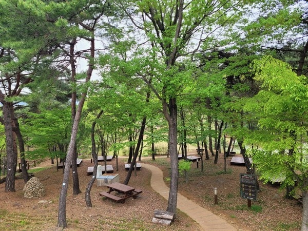 피톤치드 가득한 나주 금성산 생태숲…여름 힐링 명소 ‘각광’