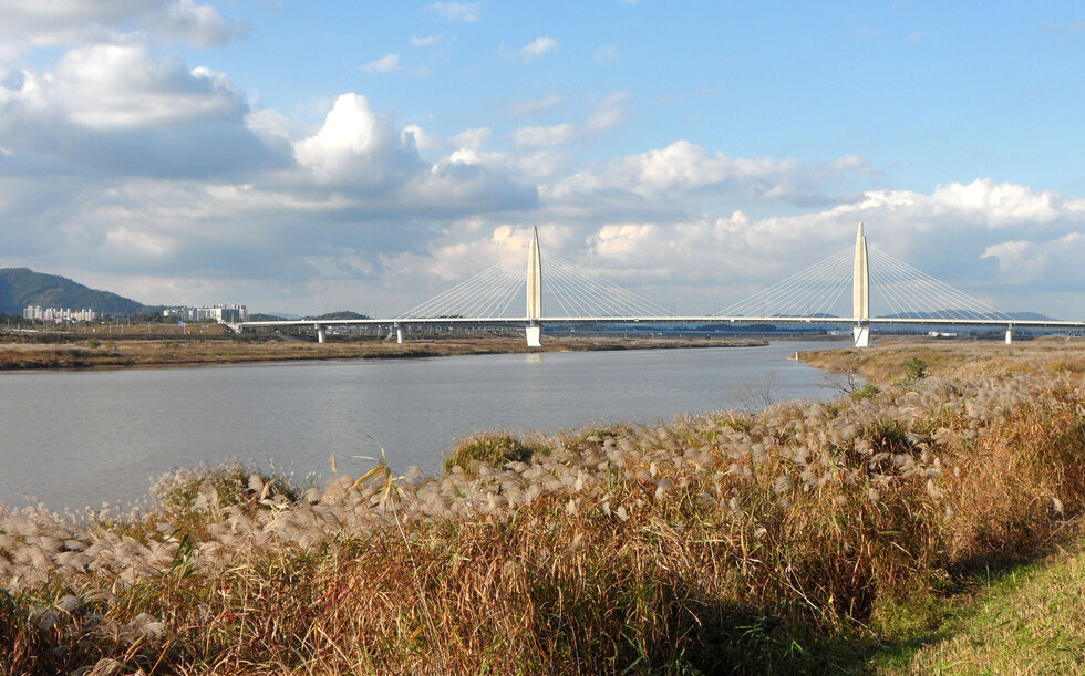 대교와 억새가 멋진 강둑에서의 풍경