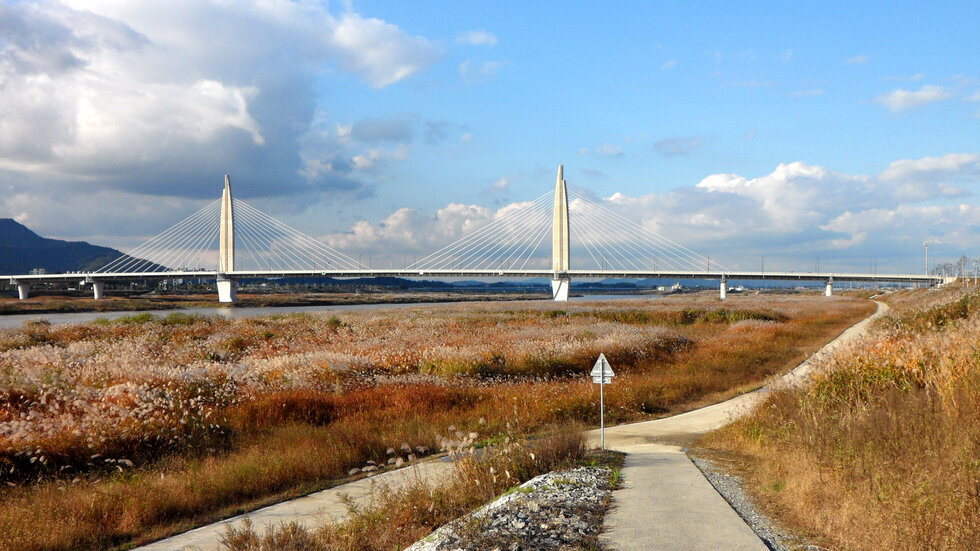 억새가 멋지게 흐드러진 11월 4일에 찍은 풍경. 건너에 대교와 강이 보인다.