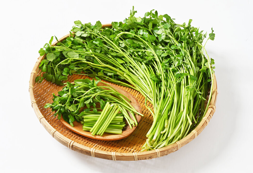 바구니에 놓여있는 돌미나리