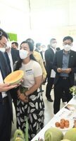 청년농