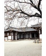  나주의 명소 금학헌의 소경 및 해설사님