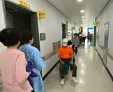  결핵검사