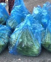 조00자 회원님 열무 후원