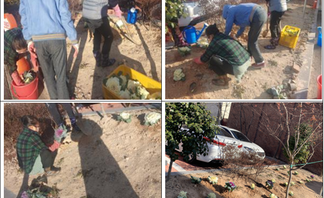 동절기 화단 가꾸기