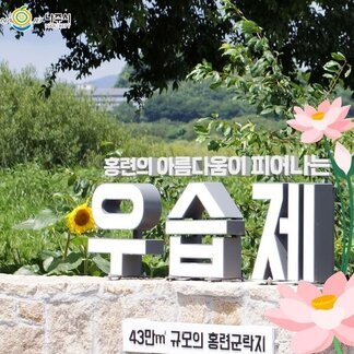우습제