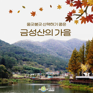 울긋불긋 산책하기 좋은 금성산의 가을 [나주시]