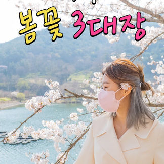 #봄꽃구경 