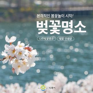 본격적인 