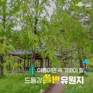 여름이면 꼭 가봐야 할  드들강 솔밭유원지:) 